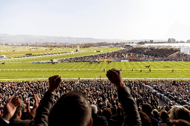 Cheltenham Festival 2026 Is Coming: Here’s How Publishers Can Win the Traffic Surge